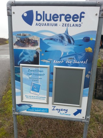 make a wish d.d. 19-02-2014